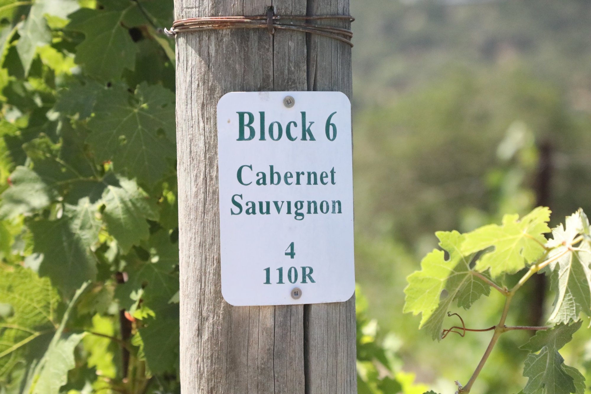 Lindstrom Wines