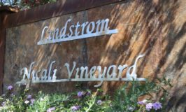 Lindstrom Wines