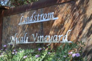 Lindstrom-Vineyard (1)