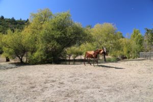 Long-Meadow-Ranch (3)