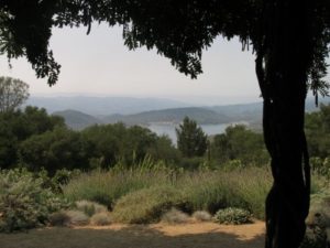 Long-Vineyards-View