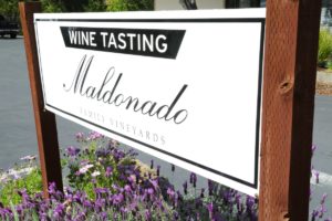 Maldonado-Vineyards-Tasting-Room