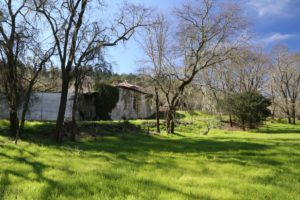 Mansfield-Cellars (2)
