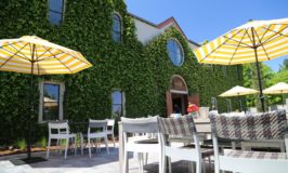 Mark Herold Wines