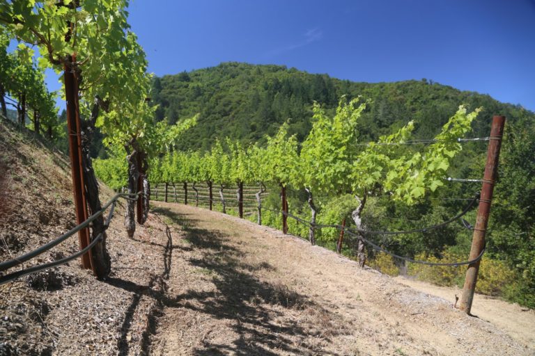 Marston Family Vineyard The Napa Wine Project