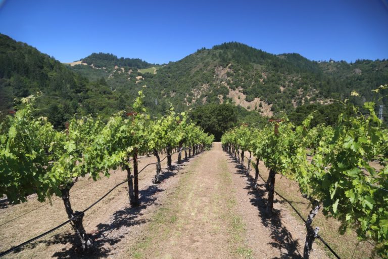 Marston Family Vineyard The Napa Wine Project