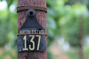 Martin-Estate (7)