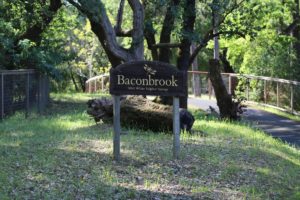 Match-Vineyards-Baconbrook