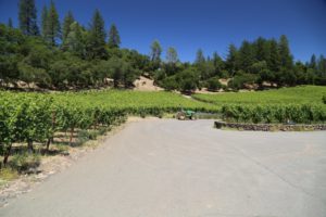 Neal-Family-Winery (3)