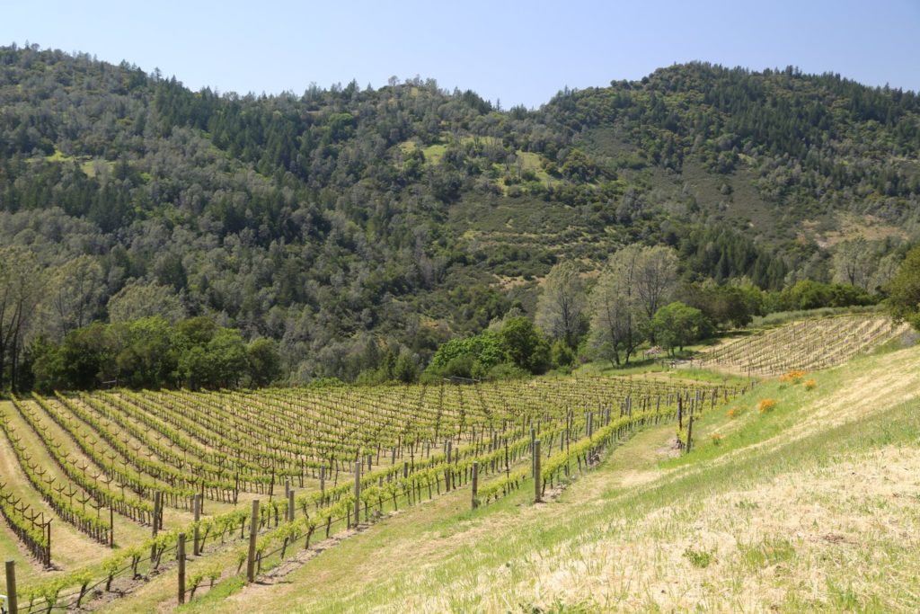 O'Shaughnessy Winery The Napa Wine Project