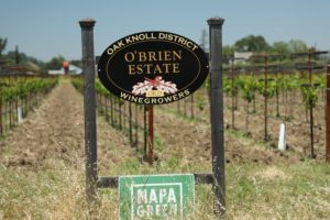 o'brien estate winery tours