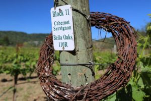 o'brien estate winery tours