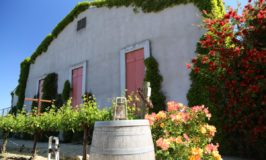 O’Brien Estate Winery