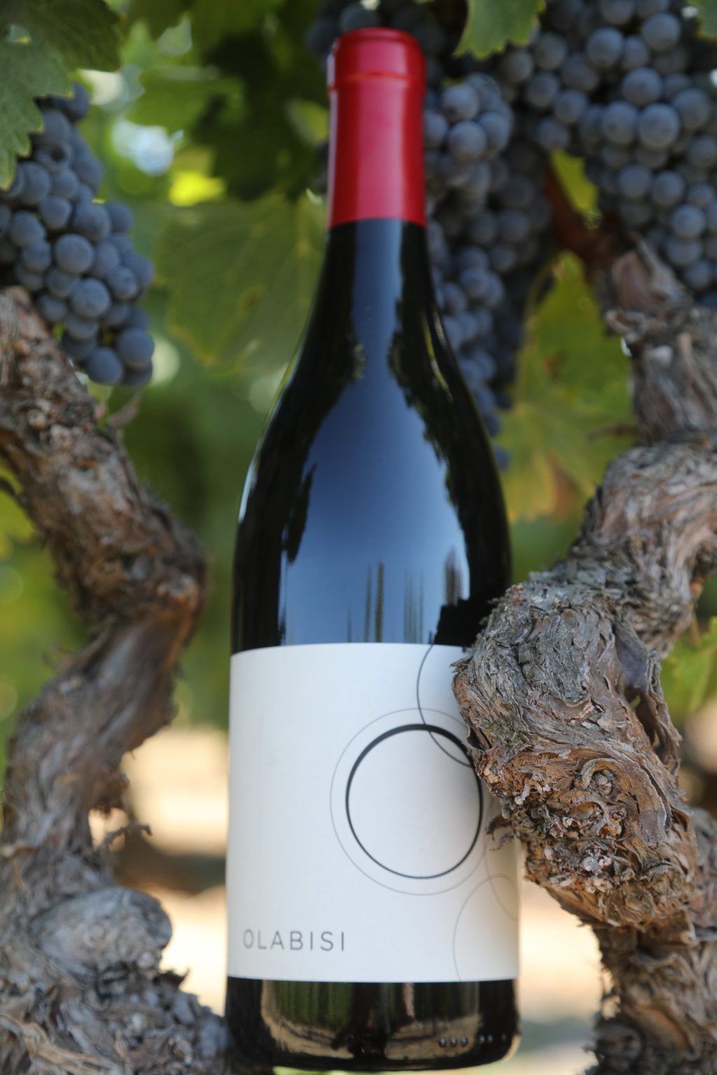 Olabisi Winery The Napa Wine Project