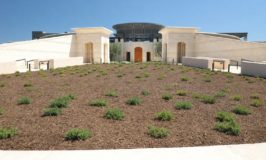 Opus One