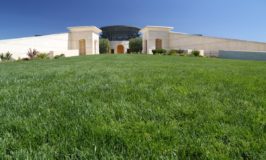 Opus One