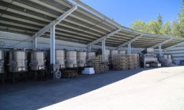 Outpost Wines