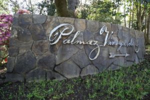palmaz winery tour