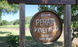 Perata Vineyards