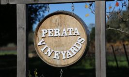 Perata Vineyards