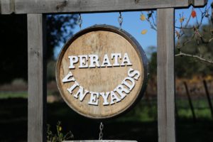 Perata-Vineyards (2)