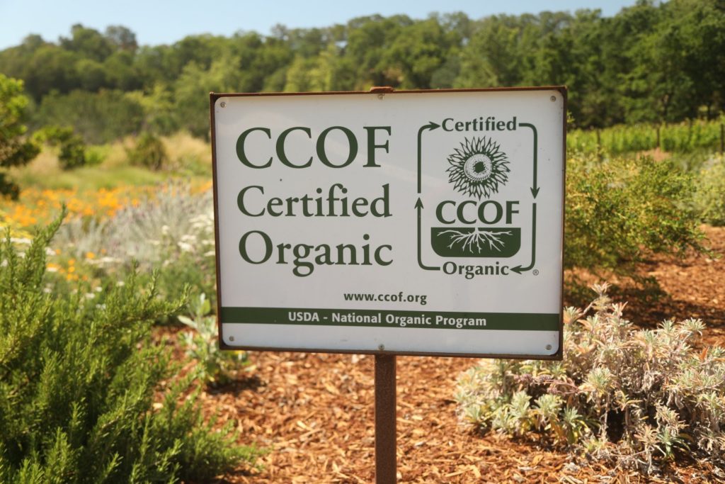 Quintessa Winery The Napa Wine Project