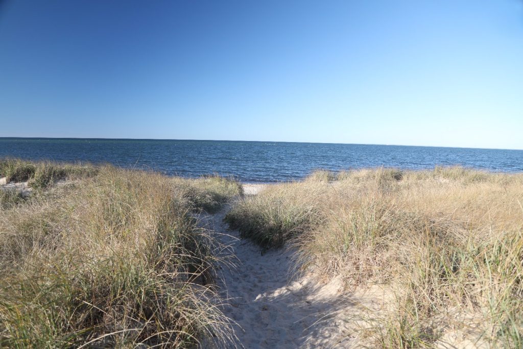 Quivet Cellars The Napa Wine Project