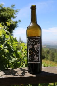 Random-Ridge-Vineyards (4)