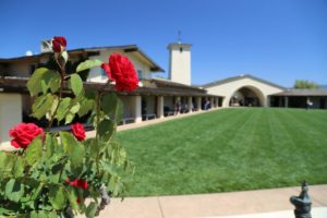 Robert-Mondavi-Winery-Napa-Valley (15)