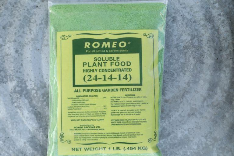 Romeo Vineyards & Cellars The Napa Wine Project