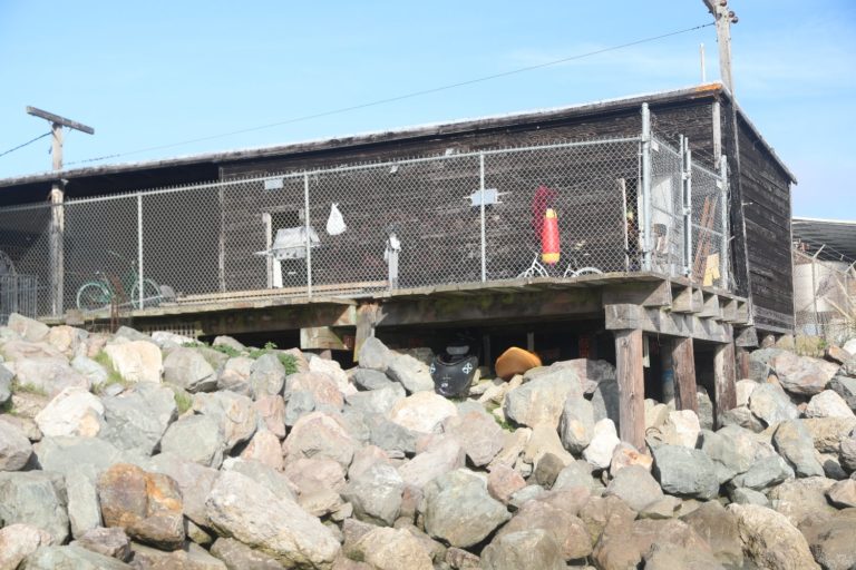 Romeo Vineyards & Cellars The Napa Wine Project