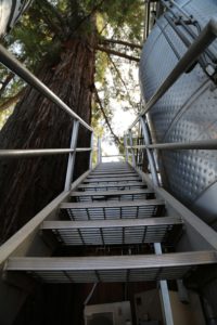 Sequoia-Grove-Winery (8)