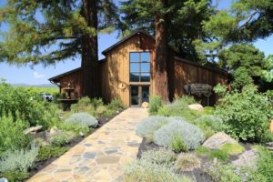 Sequoia-Grove-Winery (9)