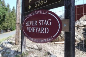 Silver-Stag-Vineyard (2)