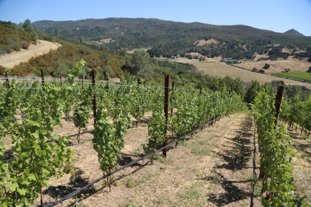 Somerston Estate The Napa Wine Project