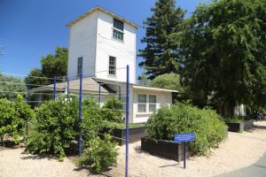 Chess 101 – St. Supéry Estate Vineyards & Winery