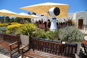 Sterling-Vineyards (17)