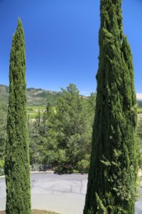 Sterling-Vineyards (18)