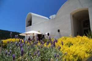 Sterling-Vineyards (24)
