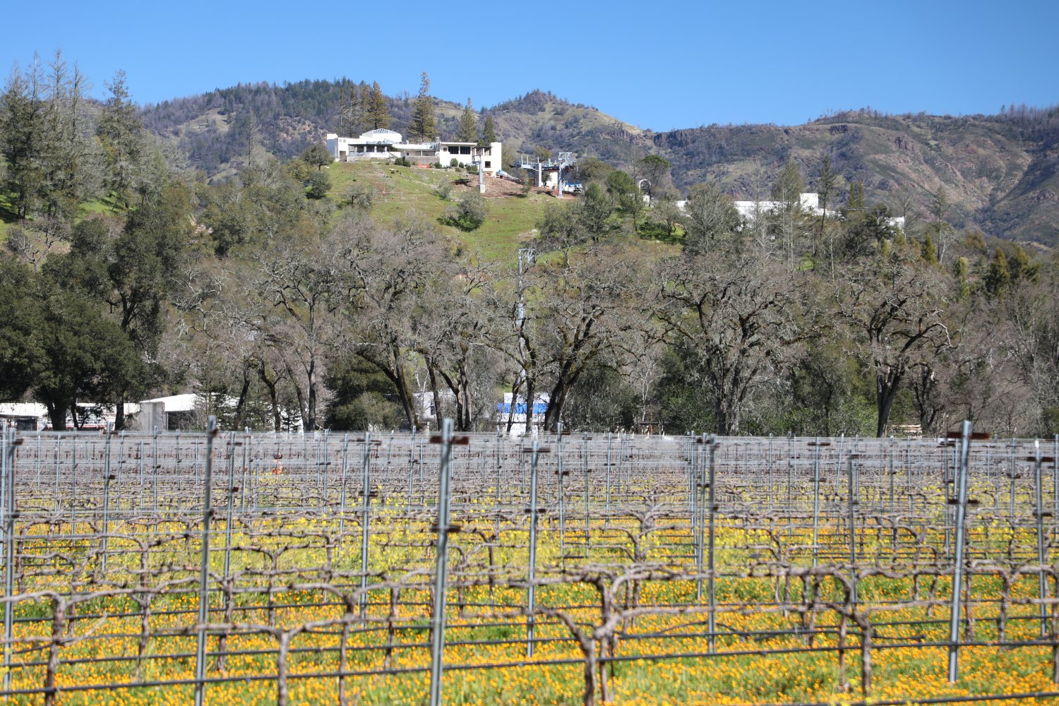Sterling Vineyards - The Napa Wine Project