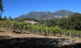 Storybook Mountain Vineyards