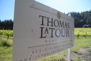 Thomas-LaTour-Vineyard-Napa (3)