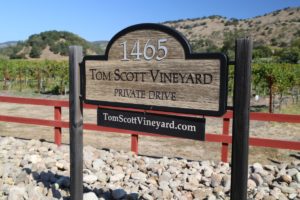 Tom-Scott-Vineyard