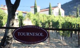 Tournesol Wine