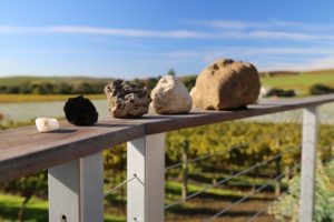tres-perlas-renteria-family-wines-9