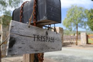 Trespass-Vineyard (1)