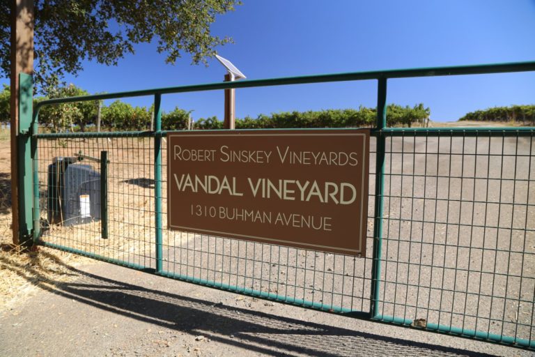 2023 Merlot Sinskey Vineyard main image 0