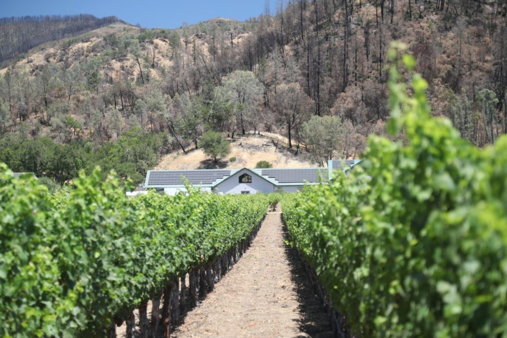 Venge Vineyards - The Napa Wine Project