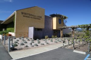 Whithall-Winery (2)