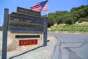 William-Harrison-Vineyards-Winery (2)